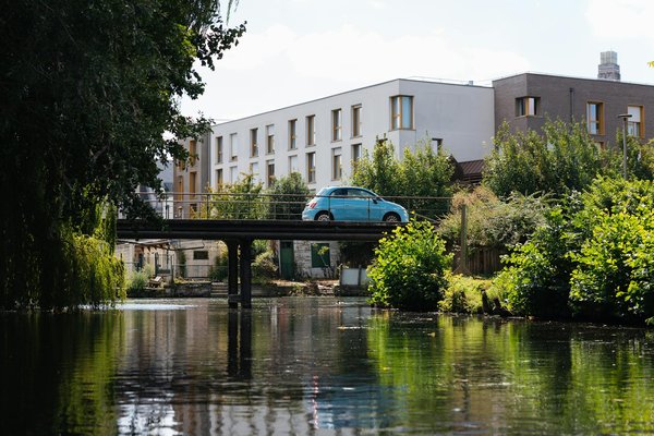 Quelle est la meilleure manière de vivre une expérience de plongée avec les requins baleines aux Philippines ?